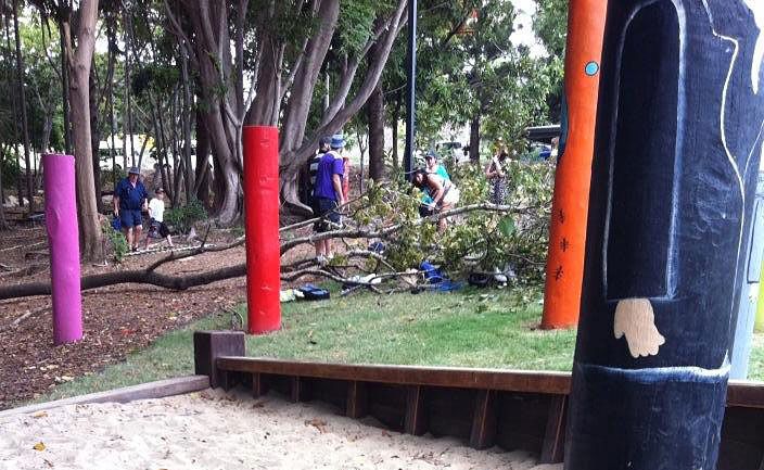 Tiffany De La Fosse took a photograph of the scene as people went to free the boy from under the tree. Tiffany De La Fosse took a photograph of the scene as people went to free the boy from under the tree.