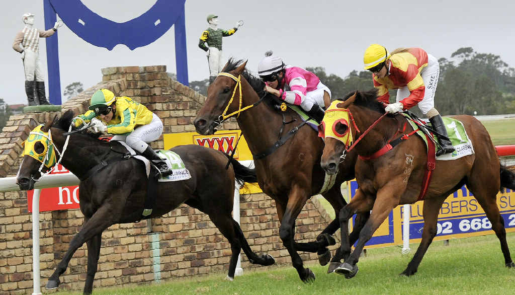 BIG THRILL: Tegan Harrison rides Epic Terra to a win in the Iris Nielsen Handicap (1405m) at Ballina yesterday. BIG THRILL: Tegan Harrison rides Epic Terra to a win in the Iris Nielsen Handicap (1405m) at Ballina yesterday.