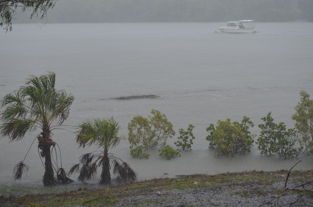 By 12.45pm the Boyne Island river had gone down to the same level as the 2011 flood, but there is still heavy rain, strong winds and a lot of debris floating down the river. By 12.45pm the Boyne Island river had gone down to the same level as the 2011 flood, but there is still heavy rain, strong winds and a lot of debris floating down the river.
