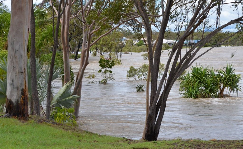 The back of Blackwell Street, Tannum Sands. The Boyne River has risen to the backyards of homes. The back of Blackwell Street, Tannum Sands. The Boyne River has risen to the backyards of homes.