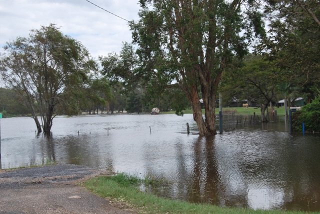 Paddocks at the side of the road on the Tweed Coast Rd at Cudgen.