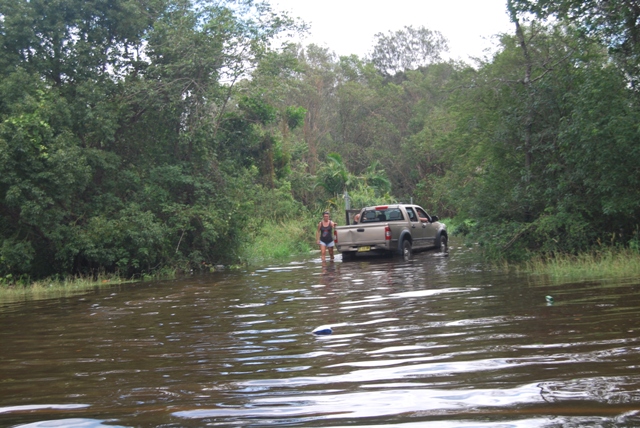 Stranded at Cudgen on the Tweed Coast Rd.