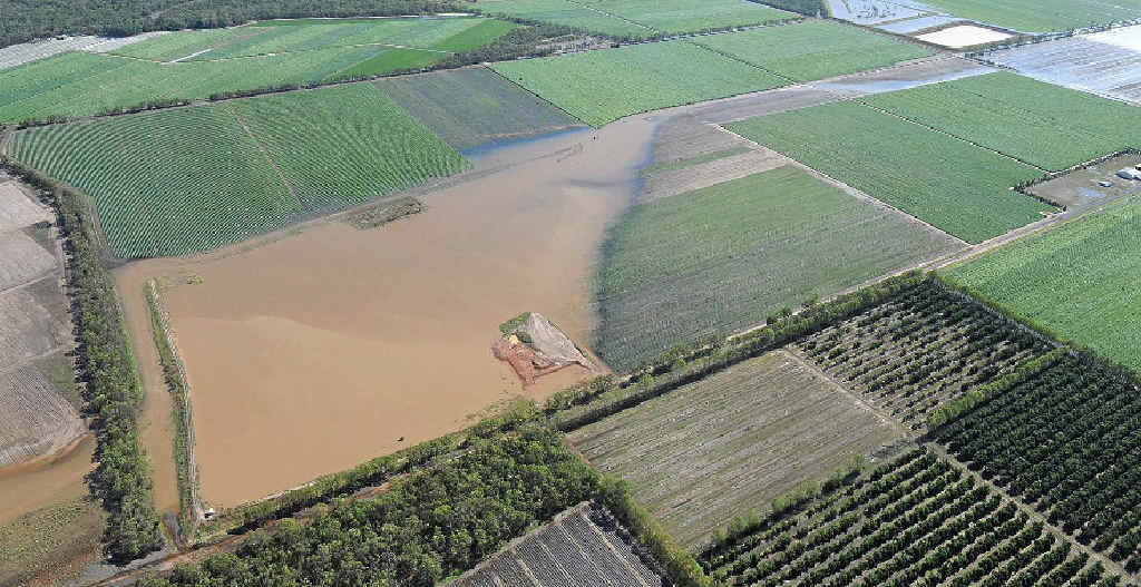 IN DEEP: Agricultural land near Bundaberg inundated by floodwaters generated by ex-tropical cyclone Oswald. IN DEEP: Agricultural land near Bundaberg inundated by floodwaters generated by ex-tropical cyclone Oswald.