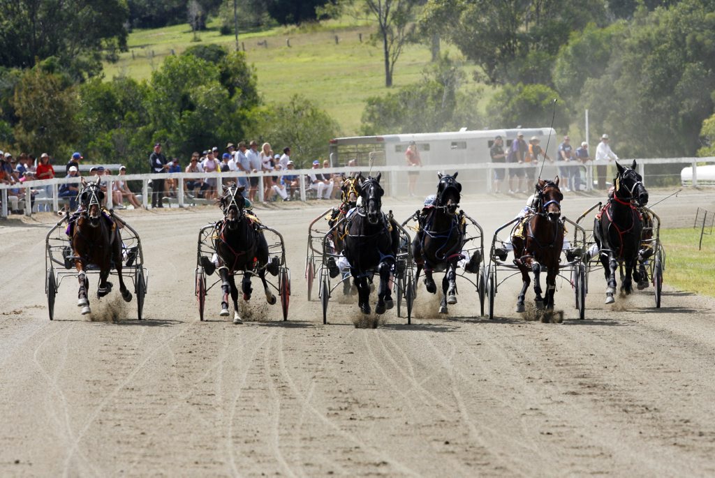 Action from race 2 at the Marburg Racing Association Festival of Harness at Marburg Showgrounds on Easter Sunday, 2012. Action from race 2 at the Marburg Racing Association Festival of Harness at Marburg Showgrounds on Easter Sunday, 2012.