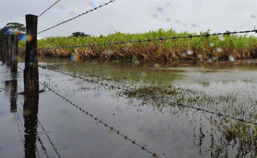 Farmers are still waiting to here about Category C funding for the Clarence Valley. Farmers are still waiting to here about Category C funding for the Clarence Valley.