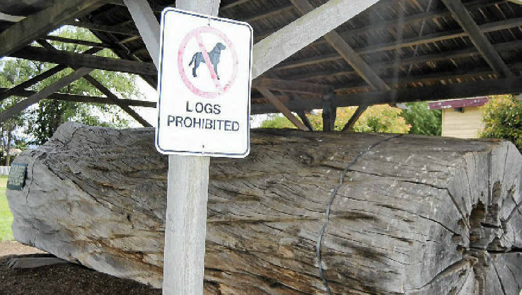 WORD PLAY: What’s prohibited? The log or the dog? WORD PLAY: What’s prohibited? The log or the dog?