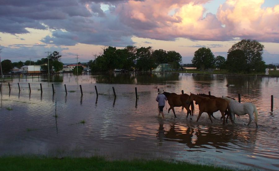Farmers affected by floods can apply for low interest loans. Farmers affected by floods can apply for low interest loans.