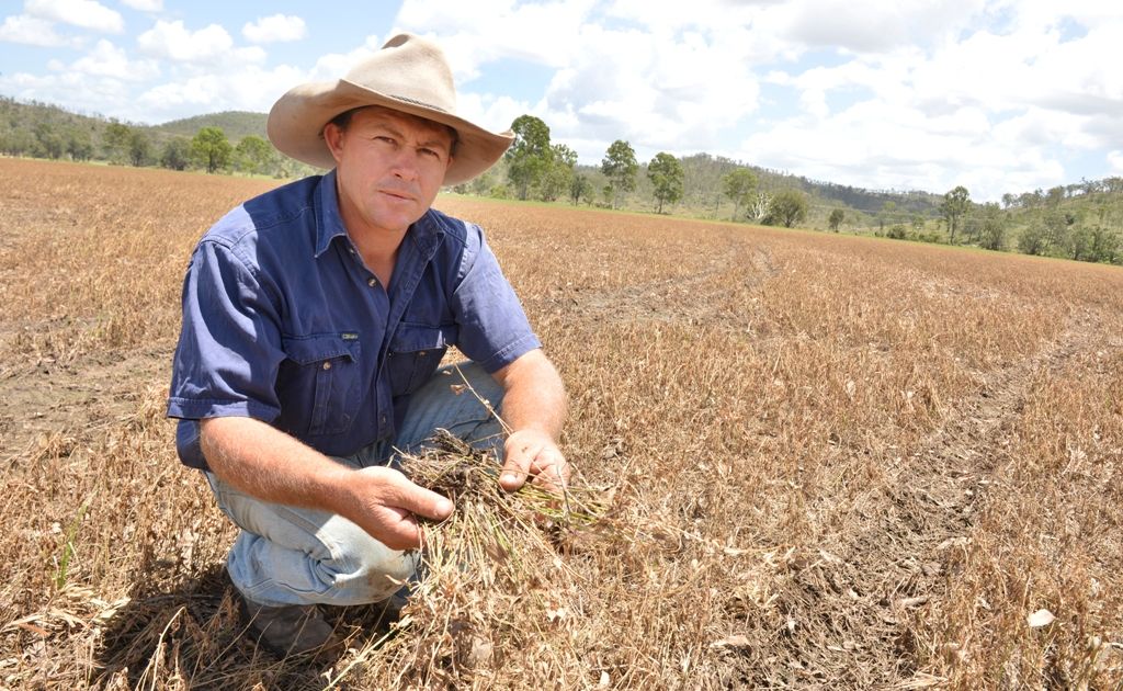 Dean Rockemer with the soggy remains of his drowned crop. Dean Rockemer with the soggy remains of his drowned crop.