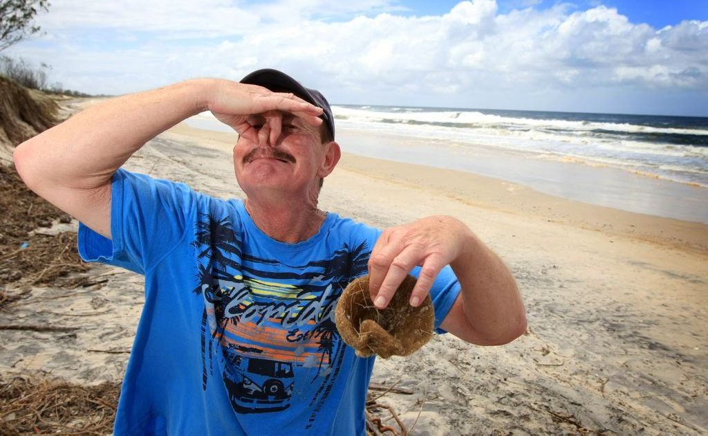 Glen Anderson barely able to stand the smell at the Kingscliff beach. Glen Anderson barely able to stand the smell at the Kingscliff beach.