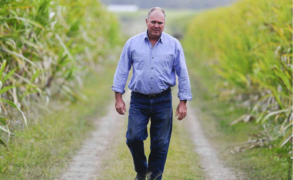 Chairman of the Clarence River Cane Growers Association, Maclean farmer Ross Farlow. Chairman of the Clarence River Cane Growers Association, Maclean farmer Ross Farlow.