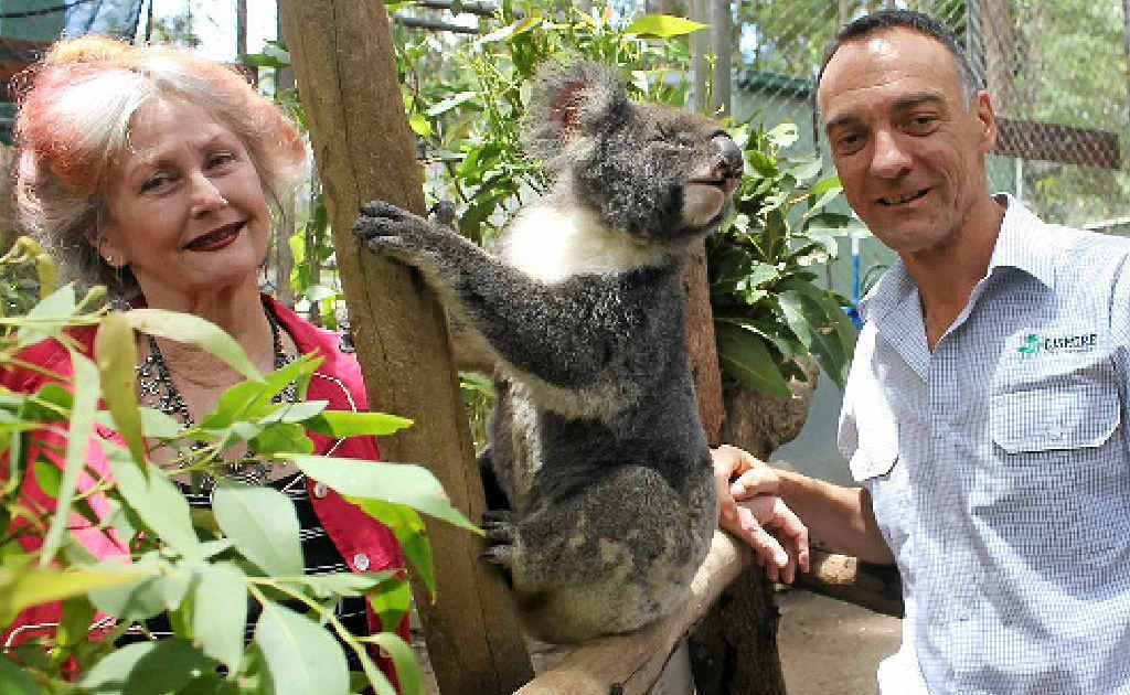 THANKS FOLKS! Hera the koala is pleased for her species that koalas will be protected, due partly to the work of Friends of the Koala president Lorraine Vass (left) and Lismore City Council’s ecologist, Dr Damian Licari. THANKS FOLKS! Hera the koala is pleased for her species that koalas will be protected, due partly to the work of Friends of the Koala president Lorraine Vass (left) and Lismore City Council’s ecologist, Dr Damian Licari.