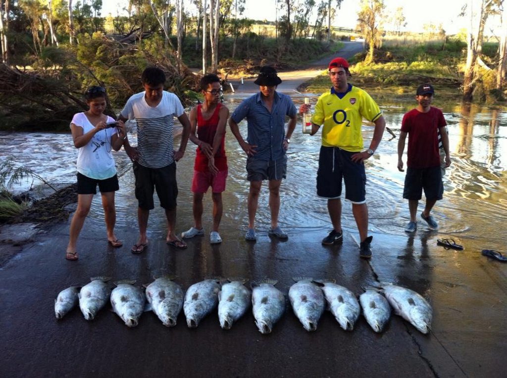 A group of Biloela residents showing off a haul of barramundi . A group of Biloela residents showing off a haul of barramundi .