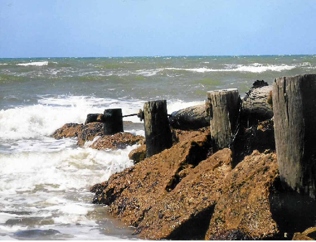 INTO THE SEA: Laurelee Atkinson was runner-up in the landscape, seascape, skyscape class. INTO THE SEA: Laurelee Atkinson was runner-up in the landscape, seascape, skyscape class.