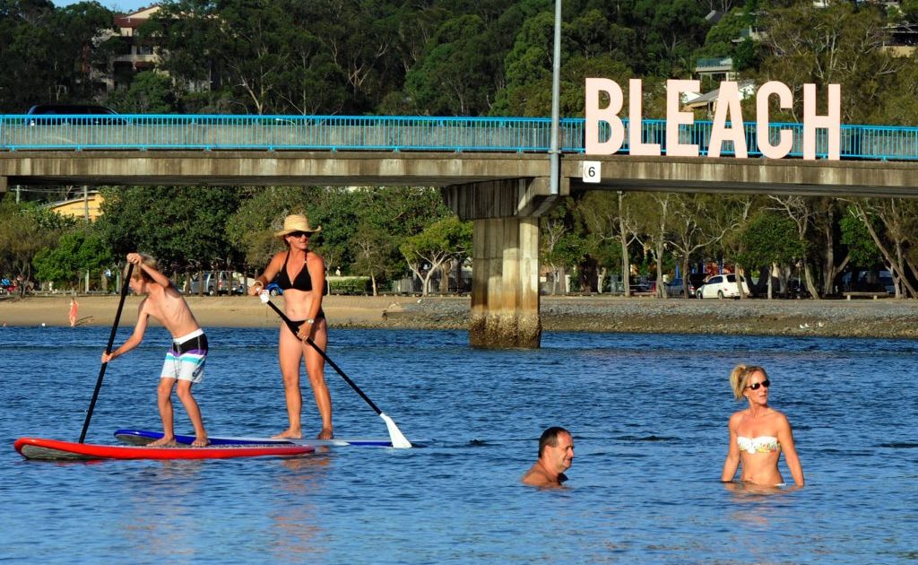 The Bleach opening last night at the Currumbin RSL. Bleach sign over Thrower bridge in Currumbin. The Bleach opening last night at the Currumbin RSL. Bleach sign over Thrower bridge in Currumbin.