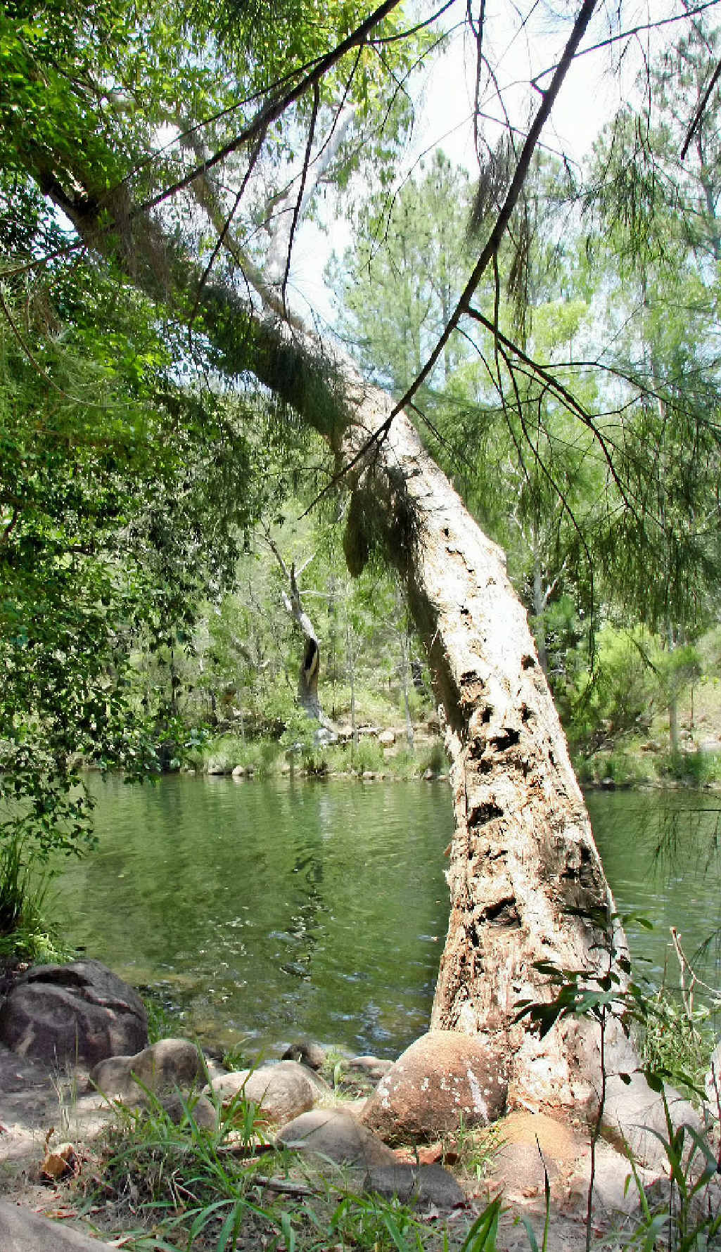 PLACE OF BEAUTY: Upper Stony Creek in CQ’s Byfield National Park. PLACE OF BEAUTY: Upper Stony Creek in CQ’s Byfield National Park.