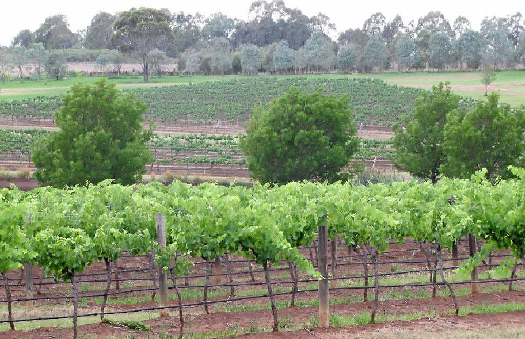 The picturesque rural setting of the Hunter Valley. The picturesque rural setting of the Hunter Valley.