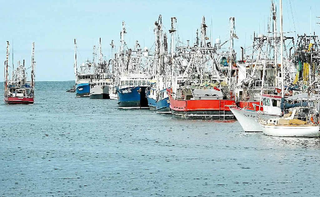 TIME OUT: Hervey Bay’s fishing trawler fleet have also been affected by the floods. TIME OUT: Hervey Bay’s fishing trawler fleet have also been affected by the floods.
