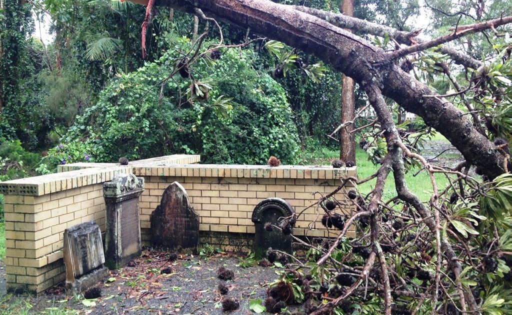 A tree has fallen at Pilgrim Memorial Park, Brunswick Heads. A tree has fallen at Pilgrim Memorial Park, Brunswick Heads.