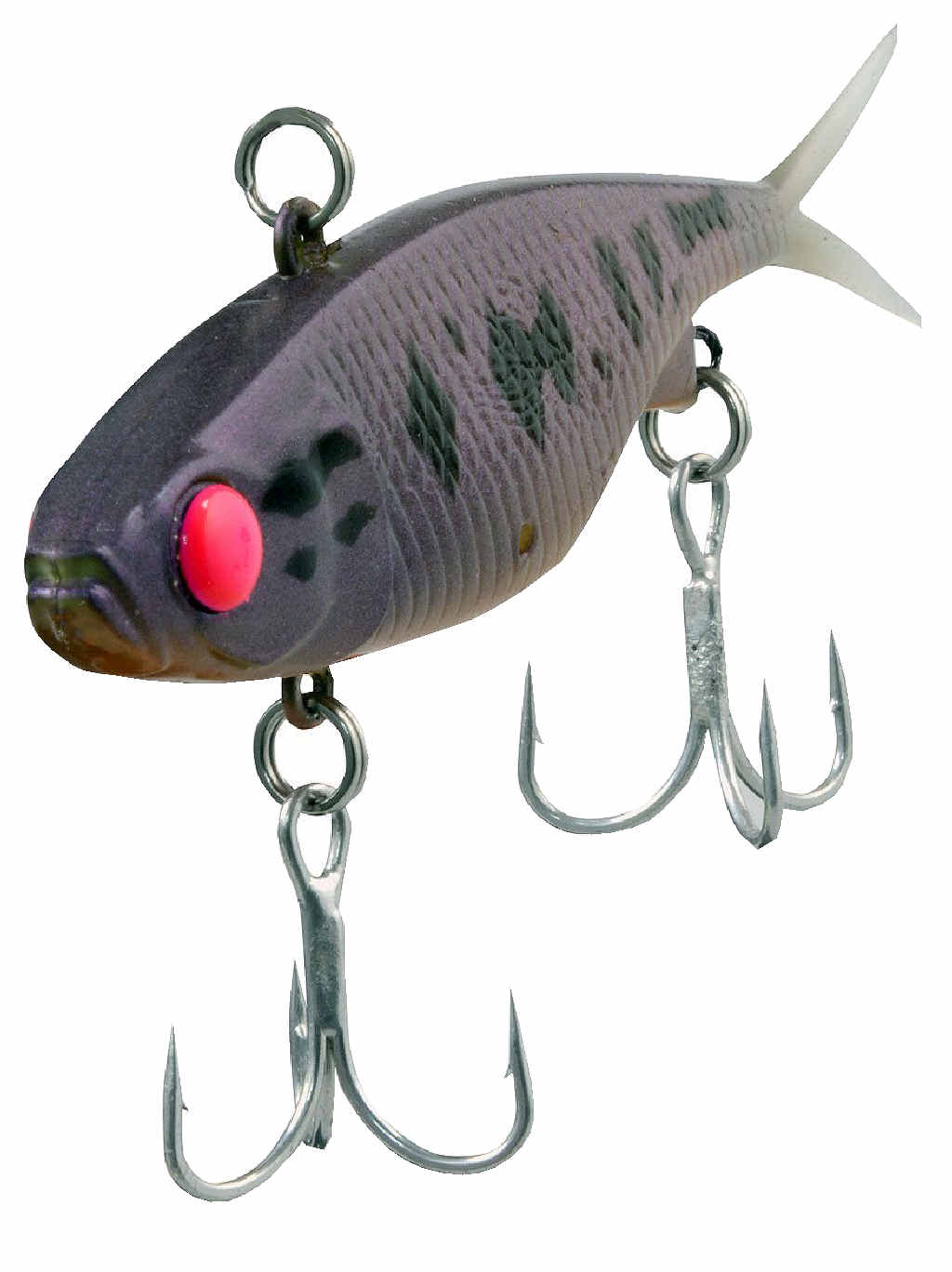 Boonah angler the man behind Jackall Lures Queensland Times