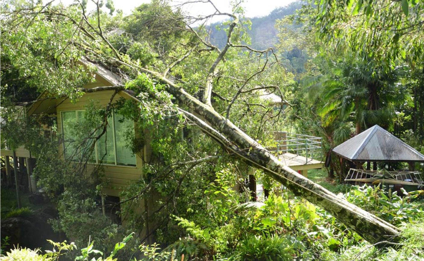 Images collected by Byron councillor Duncan Dey of damage at Upper Coopers Creek. Images collected by Byron councillor Duncan Dey of damage at Upper Coopers Creek.