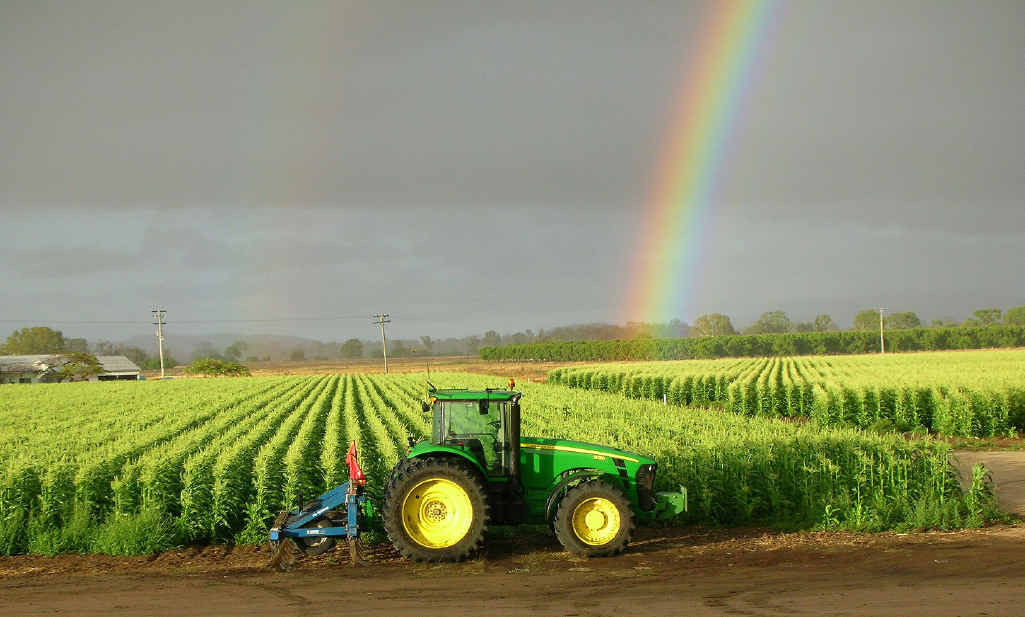 BIG SUPPLIER: Good fortune has smiled on Lockyer Valley’s Rugby Farm as a major supplier to Ipswich Coles and one of the biggest operations in the state. BIG SUPPLIER: Good fortune has smiled on Lockyer Valley’s Rugby Farm as a major supplier to Ipswich Coles and one of the biggest operations in the state.