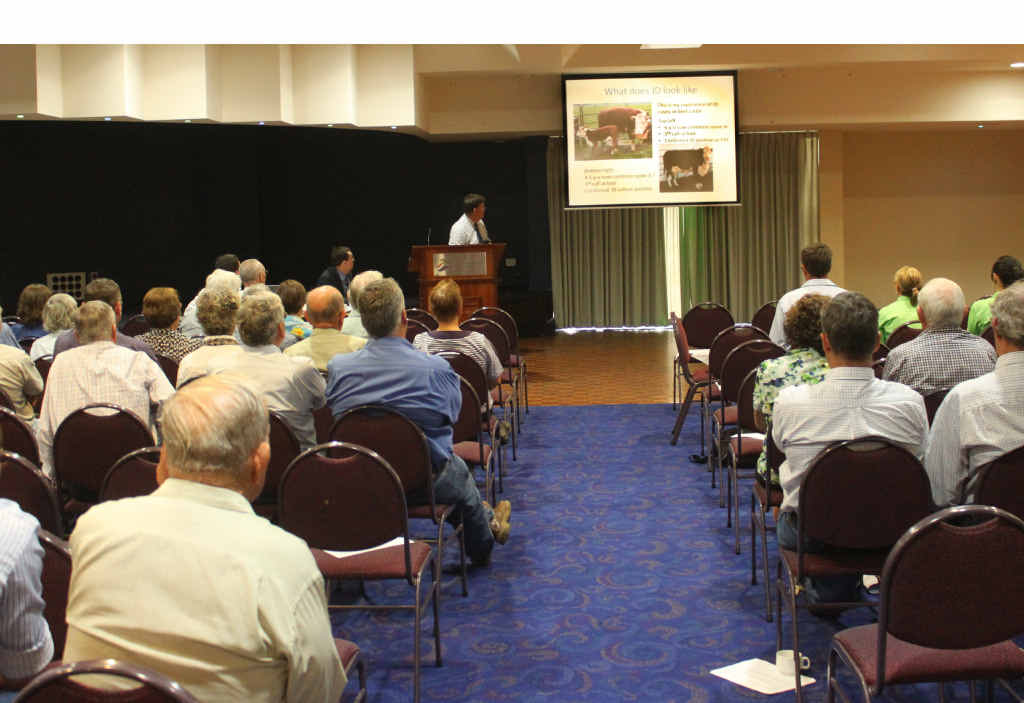 Vet John Webb Ware addresses producers in Rockhampton yesterday at a meeting about Bovine Johne’s Disease. Vet John Webb Ware addresses producers in Rockhampton yesterday at a meeting about Bovine Johne’s Disease.