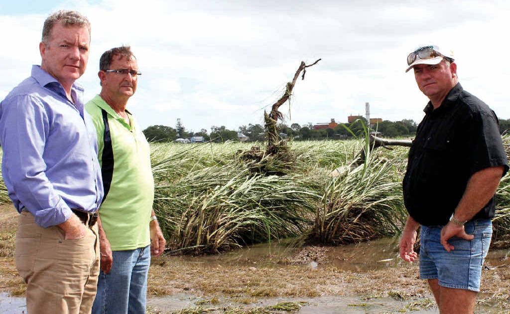 DEVASTATION: Canegrowers Queensland chief executive officer Steve Greenwood with Maryborough manager Trevor Turner and Maryborough board member Jeff Atkinson, after the floodwaters receded. DEVASTATION: Canegrowers Queensland chief executive officer Steve Greenwood with Maryborough manager Trevor Turner and Maryborough board member Jeff Atkinson, after the floodwaters receded.