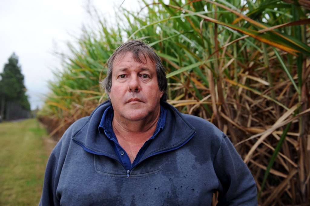 RAIN DELAY: Bundaberg Canegrowers chairman Allan Dingle said many growers were still cleaning up the flood damage on their farms and the continuous wet weather wasn't helping. RAIN DELAY: Bundaberg Canegrowers chairman Allan Dingle said many growers were still cleaning up the flood damage on their farms and the continuous wet weather wasn't helping.