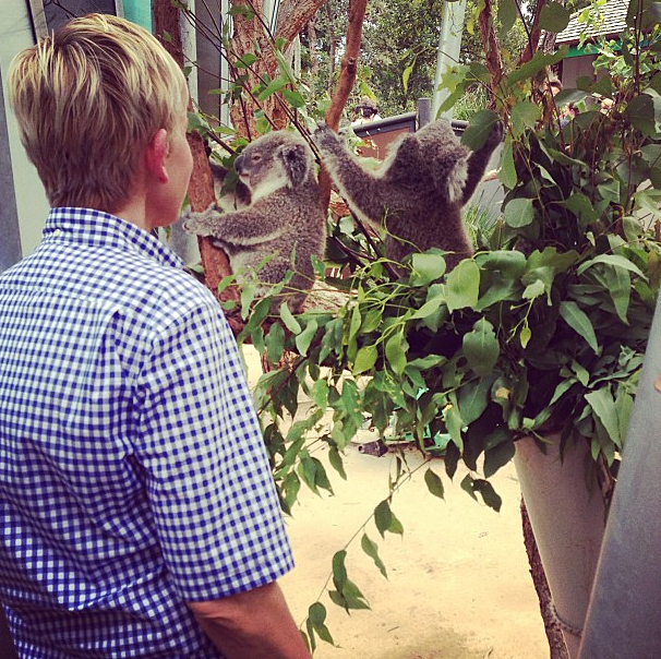 Ellen DeGeneres with koalas at the Taronga Zoo. Ellen DeGeneres with koalas at the Taronga Zoo.