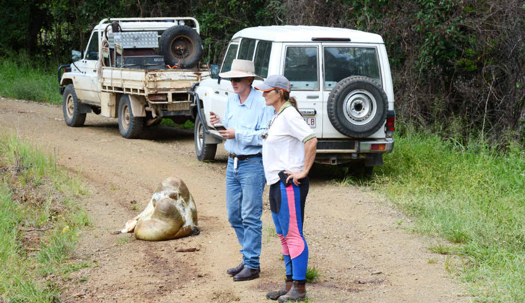 Endurance rider Gayle Holmes came across this grisly scene on Sunday morning; she is pictured with Stock Squad Detective Sergeant Mark Ferling. Endurance rider Gayle Holmes came across this grisly scene on Sunday morning; she is pictured with Stock Squad Detective Sergeant Mark Ferling.