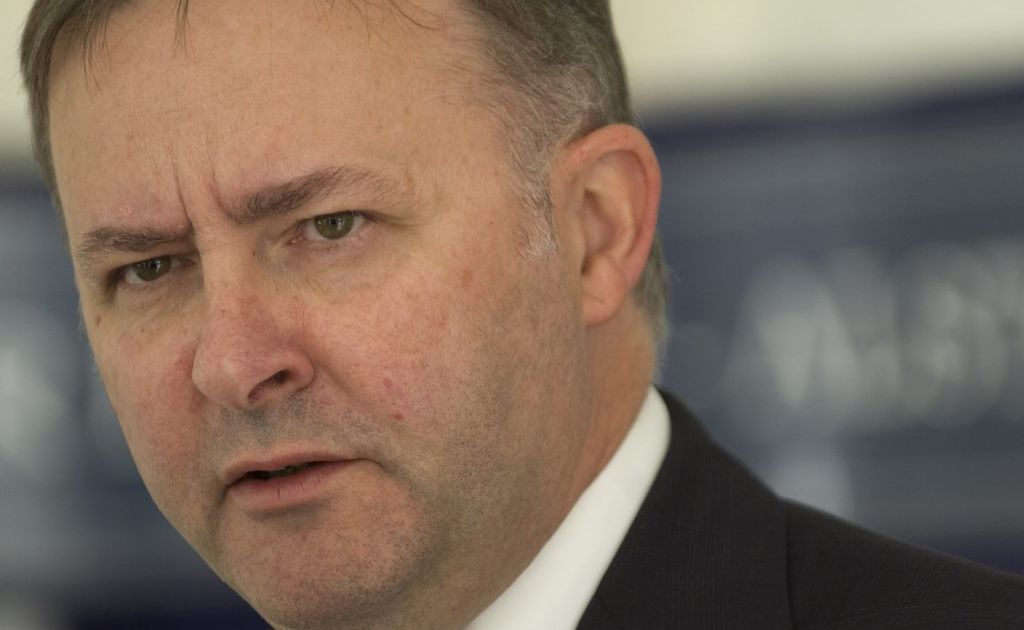 Federal Local Government Minister Anthony Albanese. Federal Local Government Minister Anthony Albanese.