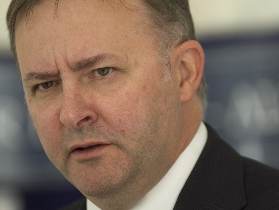 Federal MP Anthony Albanese was named Regional Development Minister. Federal MP Anthony Albanese was named Regional Development Minister.