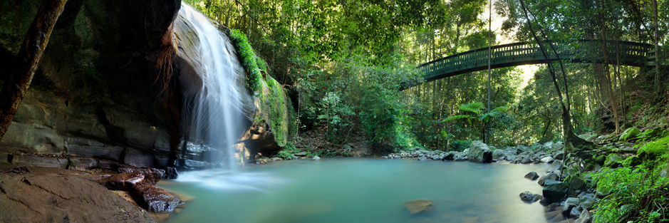 The best waterfalls on the Coast like the one at Buderim, are tricky to find for a tourist. The best waterfalls on the Coast like the one at Buderim, are tricky to find for a tourist.