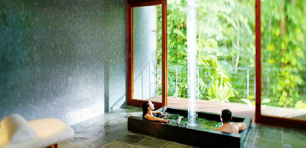 The Silky Oaks Lodge and Healing Waters. The Silky Oaks Lodge and Healing Waters.