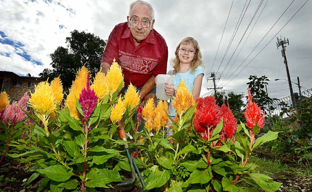 DIGGING IT: Wally Estreich of Goonellabah and his granddaughter Kaitlyn Willers from the Gold Coast, tend to his garden. DIGGING IT: Wally Estreich of Goonellabah and his granddaughter Kaitlyn Willers from the Gold Coast, tend to his garden.