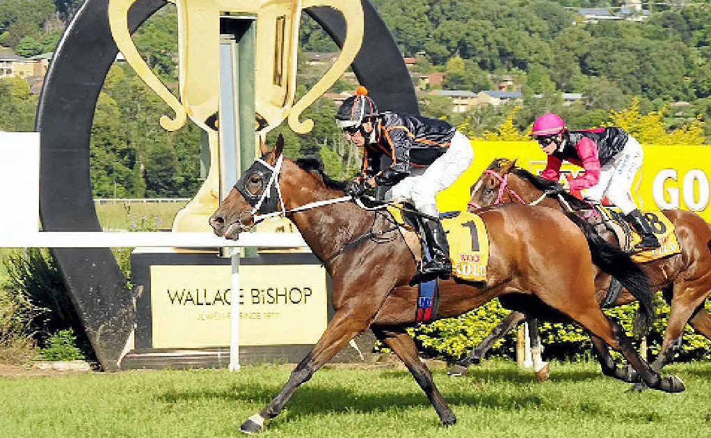 VICTORY: IN Taipei edges out challenger Miaz to take the $15,000 1200m SCU Cup Raceday Saturday 11th May Class One Handicap in Lismore yesterday. VICTORY: IN Taipei edges out challenger Miaz to take the $15,000 1200m SCU Cup Raceday Saturday 11th May Class One Handicap in Lismore yesterday.