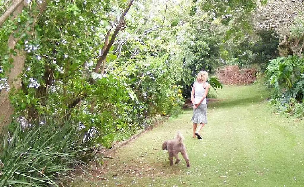 Virginia walking a friend’s dog. The property has stunning gardens in all directions; ocean facing, west facing at the front of the house, this particular pathway is above the tennis courts. Virginia walking a friend’s dog. The property has stunning gardens in all directions; ocean facing, west facing at the front of the house, this particular pathway is above the tennis courts.