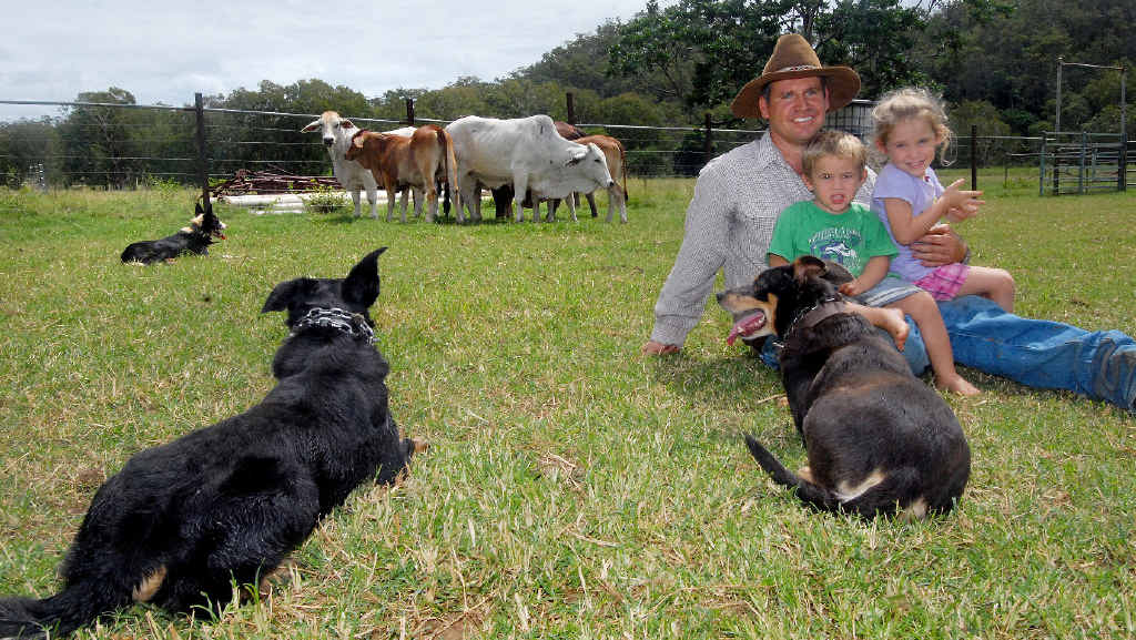 ON THE JOB: Clint Burke’s working dogs keep watch while his children Darcy, 2, and Bella, 4, relax. He said his dogs were essential for him to be able to manage his Kuttabul breeding property. ON THE JOB: Clint Burke’s working dogs keep watch while his children Darcy, 2, and Bella, 4, relax. He said his dogs were essential for him to be able to manage his Kuttabul breeding property.