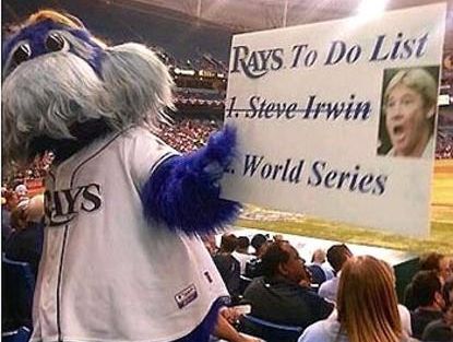 The Tampa Bay Rays mascot with the Steve Irwin sign. The Tampa Bay Rays mascot with the Steve Irwin sign.