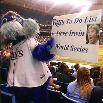 The Tampa Bay Rays mascot with the Steve Irwin sign. The Tampa Bay Rays mascot with the Steve Irwin sign.