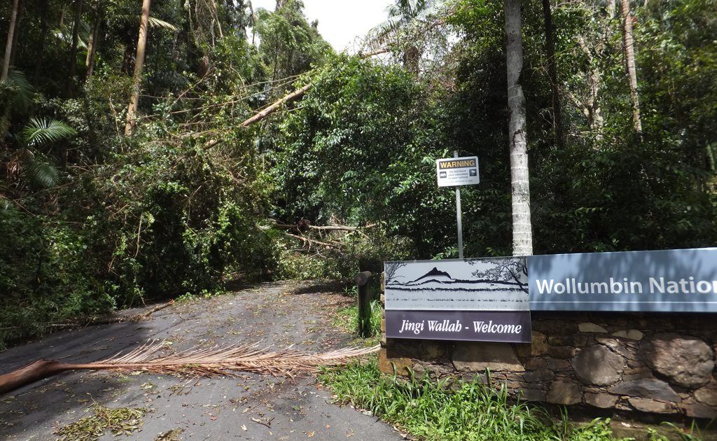 A special meeting will be held to discuss the closure of Wollumbin National Park A special meeting will be held to discuss the closure of Wollumbin National Park