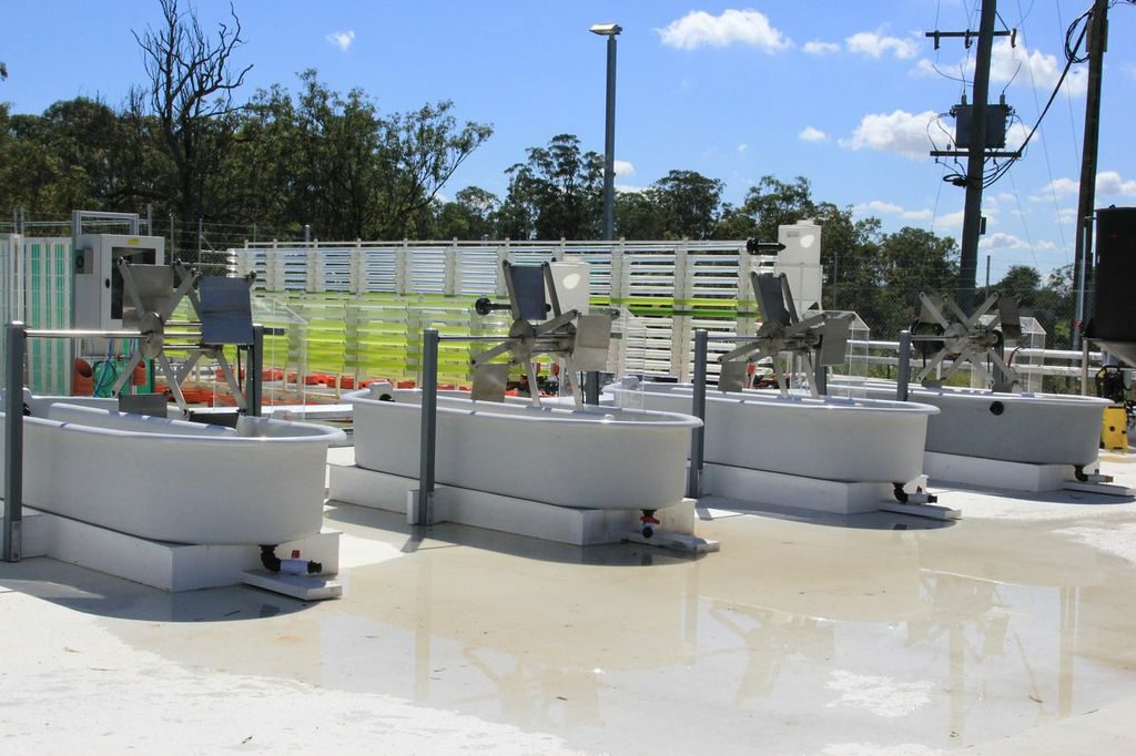 Algae is developed as a fuel source in Brisbane’s Solar Biofuels Research Centre which was unveiled on Tuesday. Algae is developed as a fuel source in Brisbane’s Solar Biofuels Research Centre which was unveiled on Tuesday.