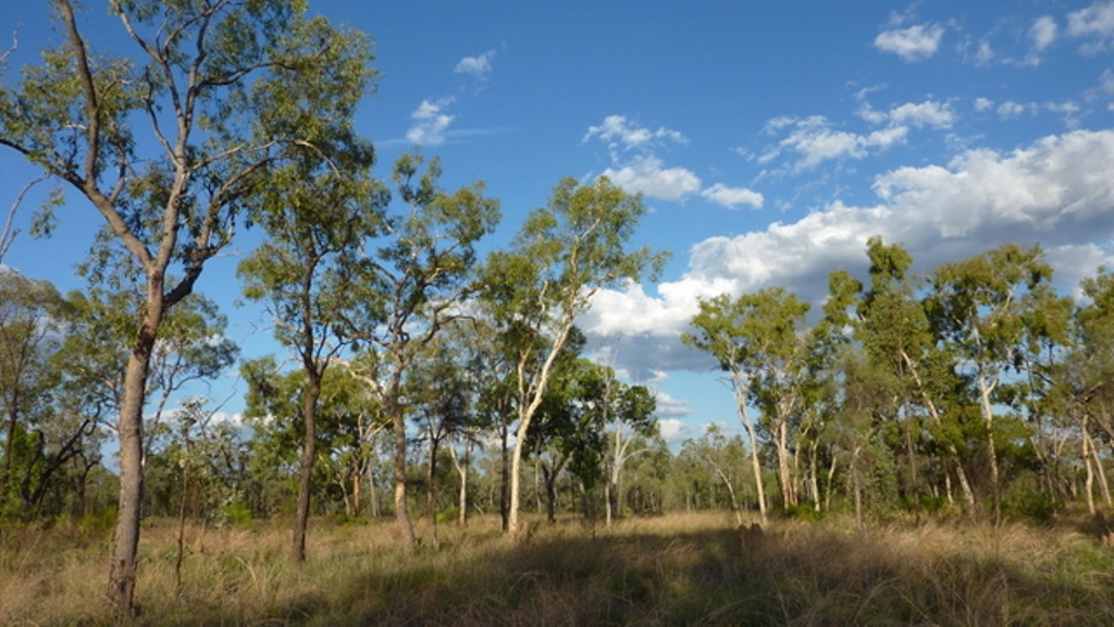 Bimblebox Nature Reserve Bimblebox Nature Reserve