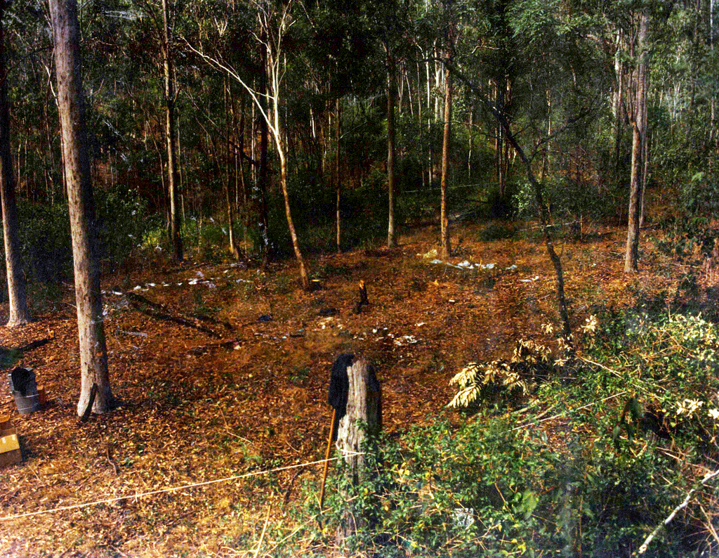 The site near Murphys Creek where two Sydney nurses were murdered in 1974. The site near Murphys Creek where two Sydney nurses were murdered in 1974.