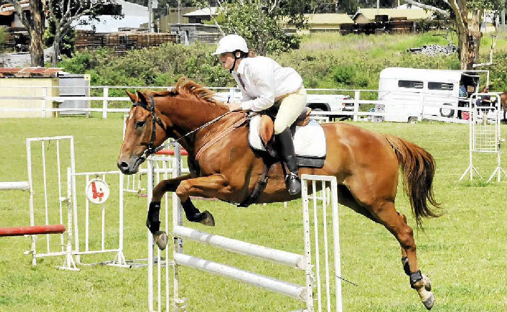 RING ACTION: Helen King of Grafton on Sunprince in the six-bar jumping event at the Woodenbong Show in 2012. RING ACTION: Helen King of Grafton on Sunprince in the six-bar jumping event at the Woodenbong Show in 2012.