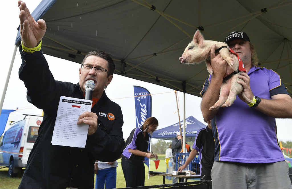A piglet is held aloft for potential bidders to inspect during the race auction at the pig races. A piglet is held aloft for potential bidders to inspect during the race auction at the pig races.