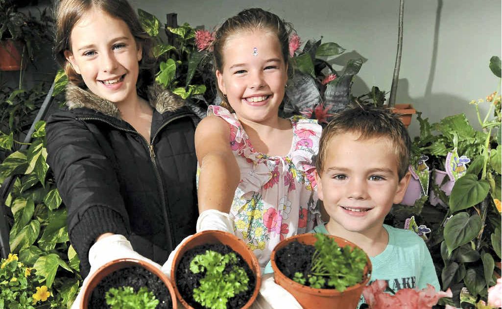 Keen gardeners (from left) EJ, Grace and Flynn Weilenmann with parsley they potted themselves at Bunnings Warehouse in Maroochydore yesterday. Keen gardeners (from left) EJ, Grace and Flynn Weilenmann with parsley they potted themselves at Bunnings Warehouse in Maroochydore yesterday.