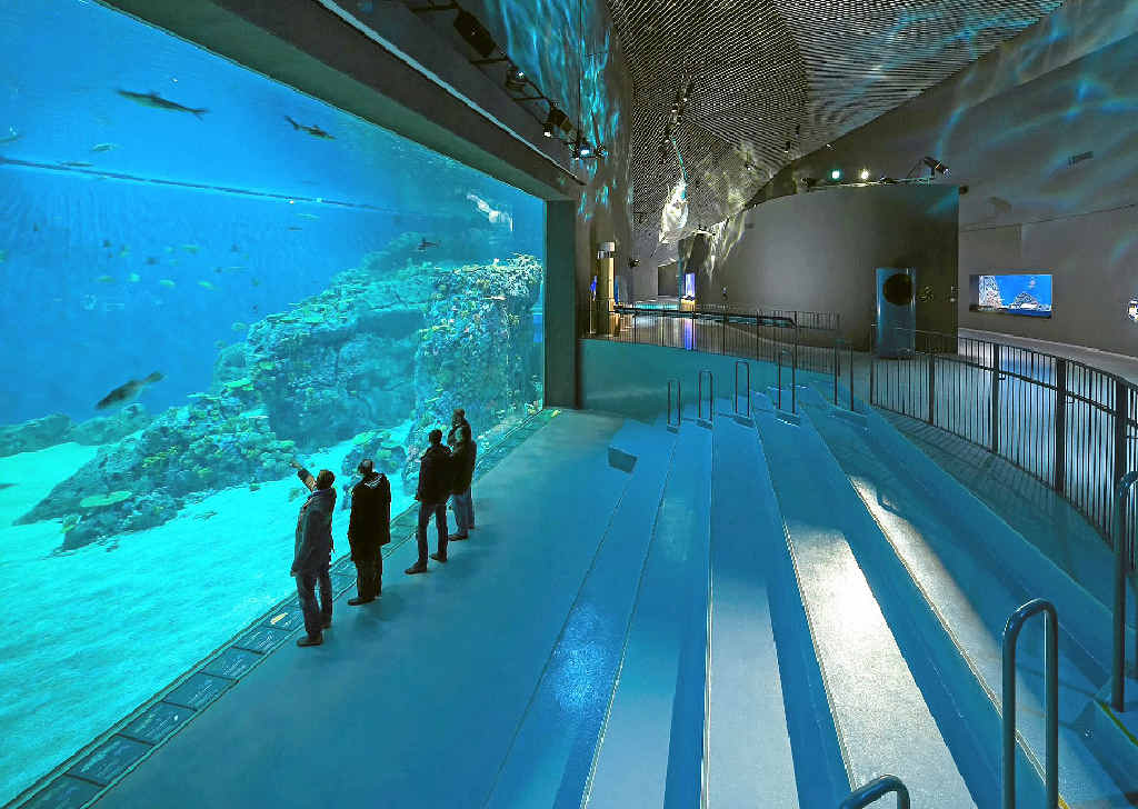 Advanced Aquarium Technologies designed and built the tanks in Denmark's national aquarium. Advanced Aquarium Technologies designed and built the tanks in Denmark's national aquarium.