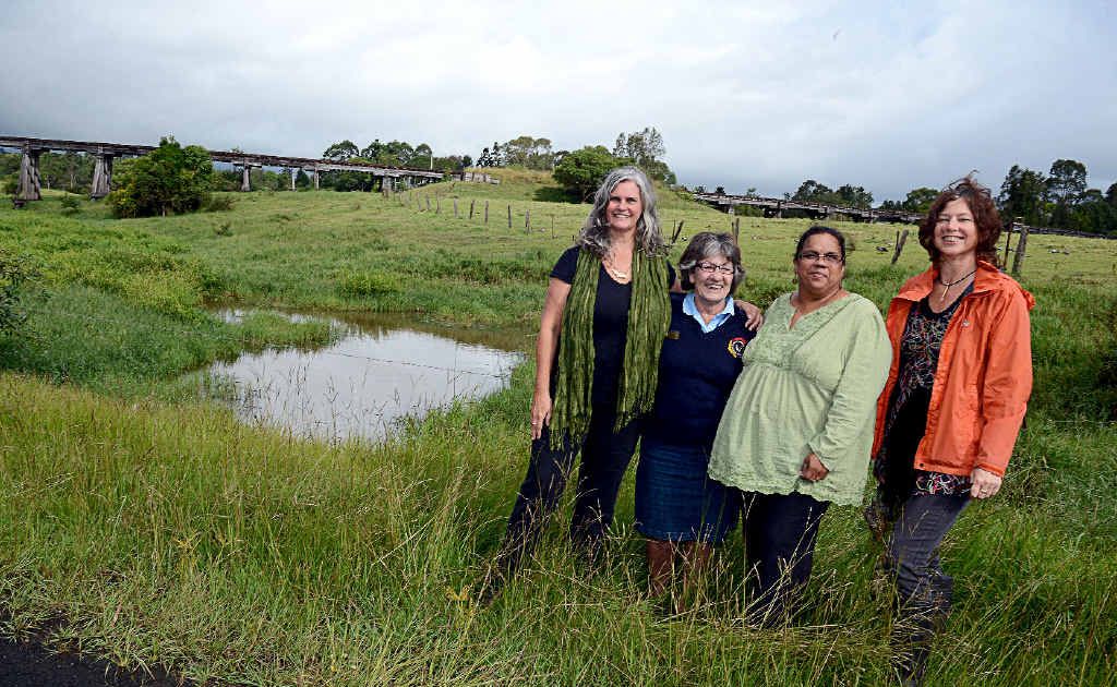 TEAM PROJECT: From left, Lismore City Council Vanessa Ekins, Ros Sten and Jenny Smith from Banyam-Baigham Landcare and Lismore City Council environmental strategies officer Vanessa Tallon are working hard towards restoring Slaters Creek in North Lismore. TEAM PROJECT: From left, Lismore City Council Vanessa Ekins, Ros Sten and Jenny Smith from Banyam-Baigham Landcare and Lismore City Council environmental strategies officer Vanessa Tallon are working hard towards restoring Slaters Creek in North Lismore.