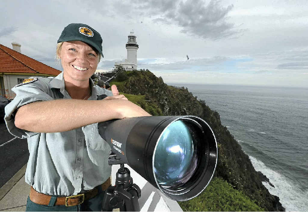 GOAT WATCH: Lee Middleton, a Discovery Ranger with the National Parks and Wildlife Service NSW, keeping an eye on the stranded goat at the Byron Bay Lighthouse and, inset, story published in The Northern Star on July 31, 2003. GOAT WATCH: Lee Middleton, a Discovery Ranger with the National Parks and Wildlife Service NSW, keeping an eye on the stranded goat at the Byron Bay Lighthouse and, inset, story published in The Northern Star on July 31, 2003.